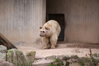 Tiere & Zoos